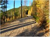 Planica (Planinšek) - Planina Ravne